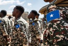 Coup dur pour le groupe Al-Shabab : mort et arrestation de hauts responsables lors de l’opération Barire 