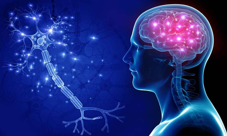 La prévention des maladies neurodégénératives