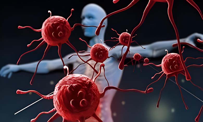 Les viandes ne majorent pas le risque de Cancer comme le croient beaucoup