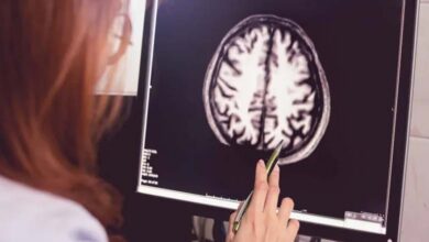 Comment le cholestérol cérébral influence la mémoire et l’apprentissage ?