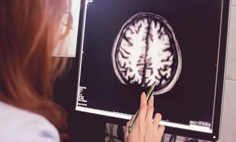 Comment le cholestérol cérébral influence la mémoire et l’apprentissage ?