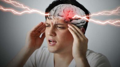 Comment le cholestérol cérébral influence la mémoire et l’apprentissage ?