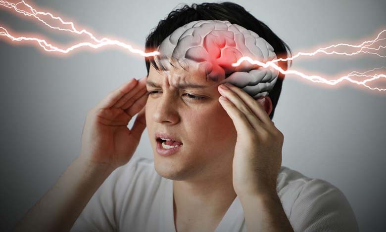 Comment le cholestérol cérébral influence la mémoire et l’apprentissage ?