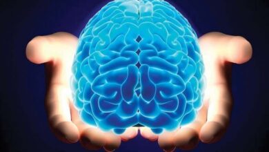Étude récente : le cerveau humain se nettoie durant le sommeil