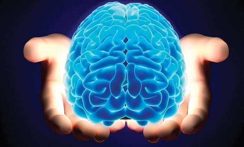 Étude récente : le cerveau humain se nettoie durant le sommeil