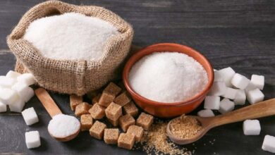 Le changement climatique accroît la consommation de sucre : comprendre les mécanismes cachés