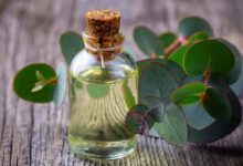 L’huile de camphre : un remède naturel contre les maladies respiratoires et les douleurs articulaires ?