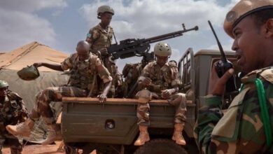 Opérations de grande envergure ébranlent les bastions terroristes en Somalie : victoires sur le terrain et soutien international