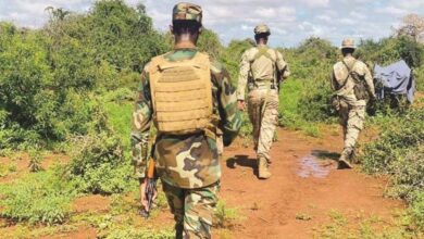 Parmi eux des dirigeants… 60 terroristes tués dans des affrontements avec l’armée somalienne