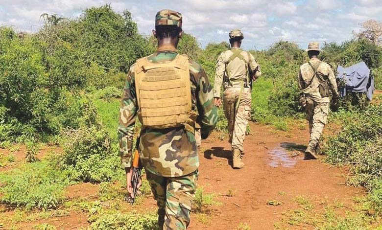 Parmi eux des dirigeants… 60 terroristes tués dans des affrontements avec l’armée somalienne