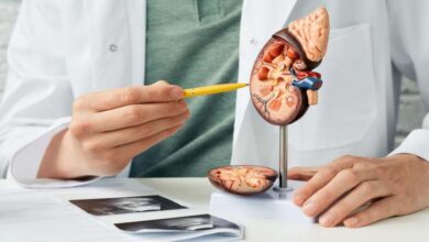 Remèdes maison ou traitements médicaux : quelle approche privilégier pour les calculs rénaux ?