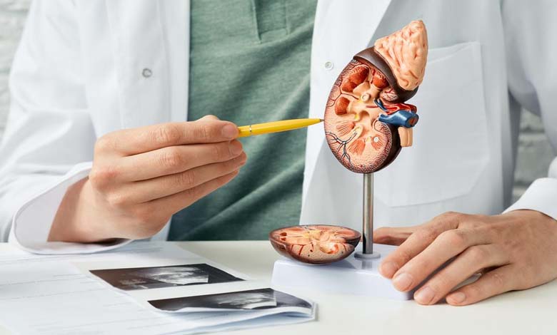 Remèdes maison ou traitements médicaux : quelle approche privilégier pour les calculs rénaux ?