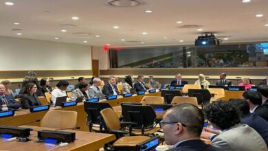 Journée des Nations Unies : Les Émirats arabes unis, un modèle exemplaire de partenariat pour la paix et le développement