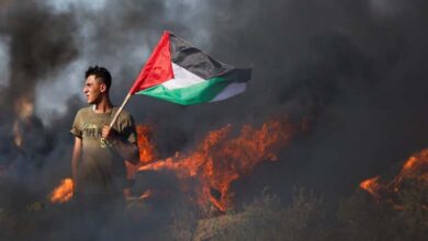 Les Frères musulmans et la cause palestinienne : comment en font-ils un levier médiatique et politique ?