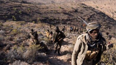 Les Puntland Dervish Forces poursuivent leurs frappes contre Daech… arrestation de combattants étrangers