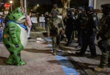 Un grenouille, un poulet et un dinosaure contre Trump : une protestation satirique des démocrates