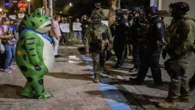 Un grenouille, un poulet et un dinosaure contre Trump : une protestation satirique des démocrates