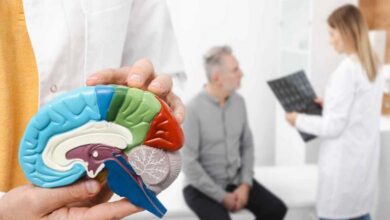 À quel âge le cerveau humain commence-t-il à se détériorer ?