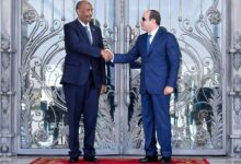 Enquête sur le rôle présumé de l’Égypte dans la guerre du Soudan et ses répercussions sur les civils