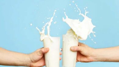 Le lait renforce-t-il vraiment les os ? Analyse scientifique et recommandations