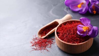 Le safran : un espoir naturel pour améliorer la mémoire des patients atteints de la maladie d’Alzheimer