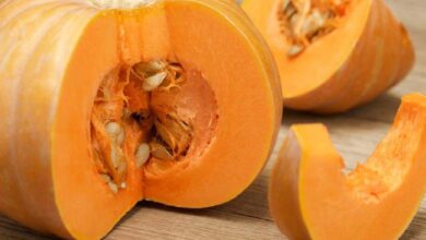 Les bienfaits étonnants de la citrouille et de ses graines : un trésor nutritionnel qui dépasse la saison automnale