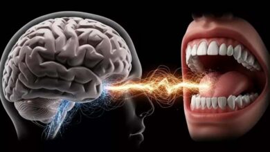 Les maladies des gencives : un risque pour la matière blanche du cerveau