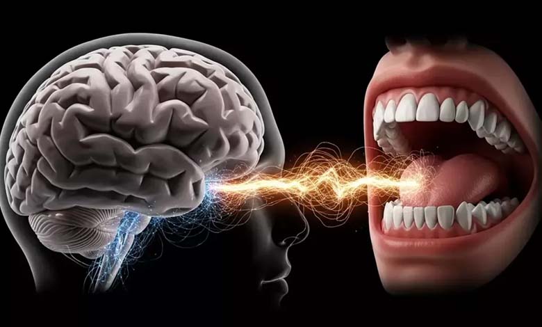 Les maladies des gencives : un risque pour la matière blanche du cerveau