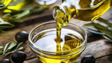 L’huile d’olive : un élixir de longévité ou un simple aliment sain ?