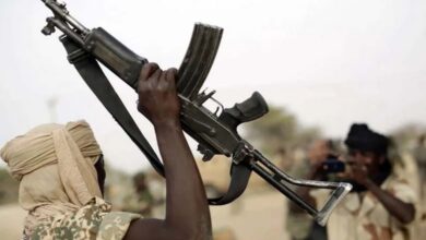 Nigeria et les terroristes repentis… un parcours de retour après l’extrémisme