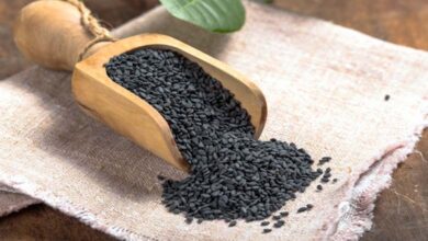 Une cuillère de nigelle par jour réduit le cholestérol en quelques semaines