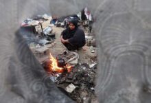 Voyage forcé et opaque : l’affaire qui ravive les tensions européennes autour du déplacement des Palestiniens