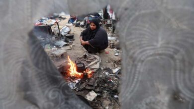 Voyage forcé et opaque : l’affaire qui ravive les tensions européennes autour du déplacement des Palestiniens