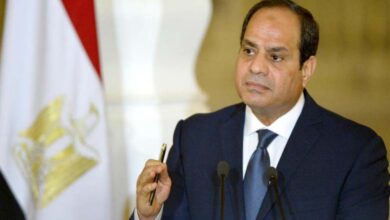 De Gaza à Téhéran… 2025, une année riche pour la diplomatie égyptienne