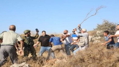 La violence des colons en Cisjordanie touche aussi des militants étrangers