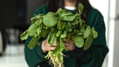 Le cresson : le légume qui domine le palmarès de la santé