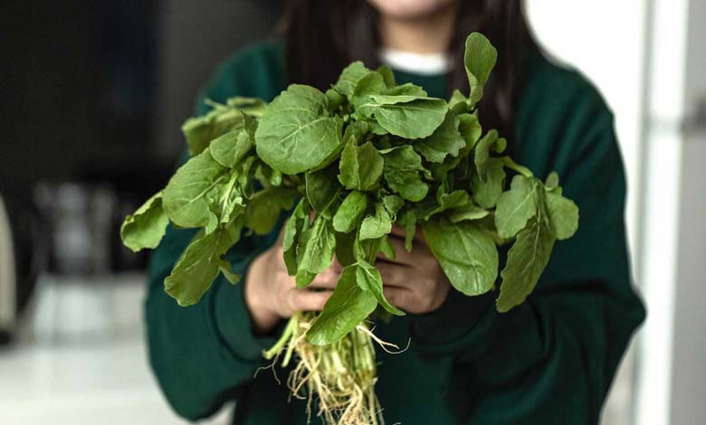 Le cresson : le légume qui domine le palmarès de la santé