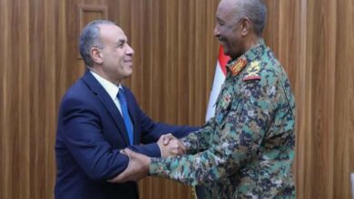 L’intervention égyptienne au Soudan : Une analyse de la nature des approvisionnements militaires et de leur impact sur le cours du conflit