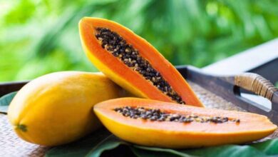 Analyse nutritionnelle, digestion et habitudes alimentaires