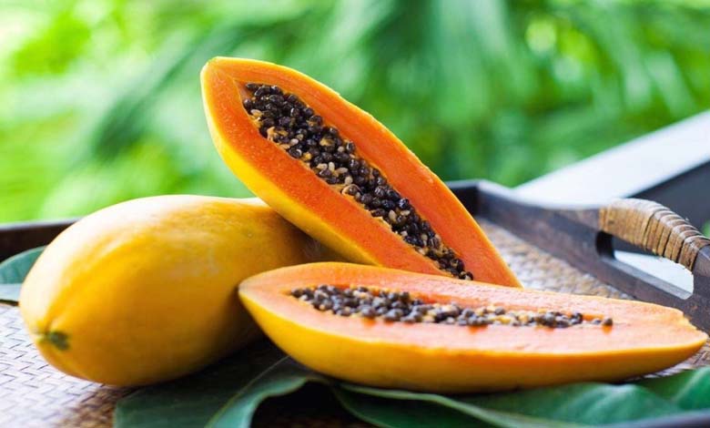 Analyse nutritionnelle, digestion et habitudes alimentaires