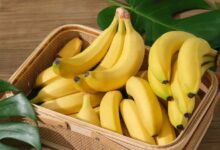 Comment le moment de consommation de la banane influence la performance sportive