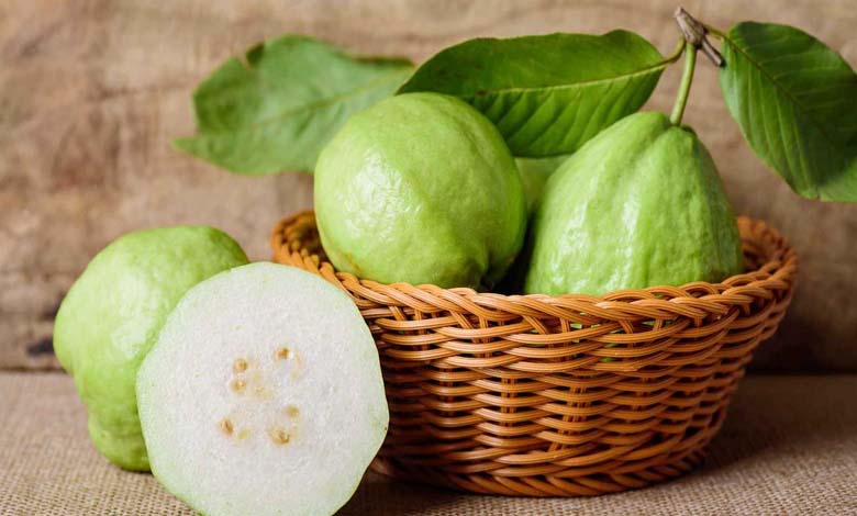 Fibres et antioxydants : comment la goyave soutient la santé des personnes âgées