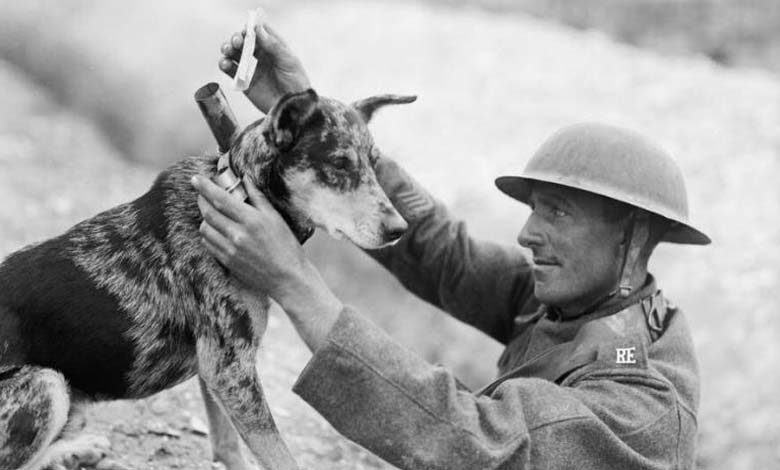 La bataille du chien errant : la Grèce et la Bulgarie, protagonistes de l’une des guerres les plus étranges de l’histoire