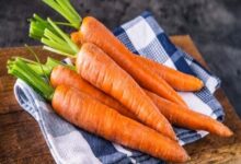 La carotte, bien plus qu’un allié de la vision, un soutien efficace pour la perte de poids