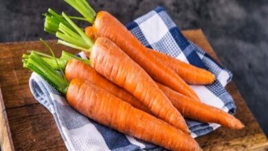 La carotte, bien plus qu’un allié de la vision, un soutien efficace pour la perte de poids