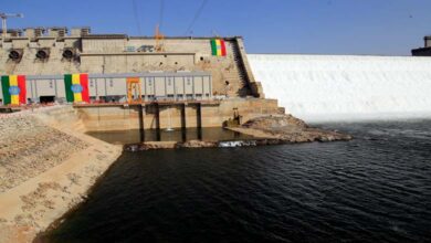 Le barrage de la Renaissance et Gaza au cœur des discussions égypto-américaines