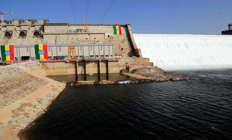 Le barrage de la Renaissance et Gaza au cœur des discussions égypto-américaines