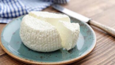 Le fromage à haute teneur en matières grasses : un allié pour le cerveau ?