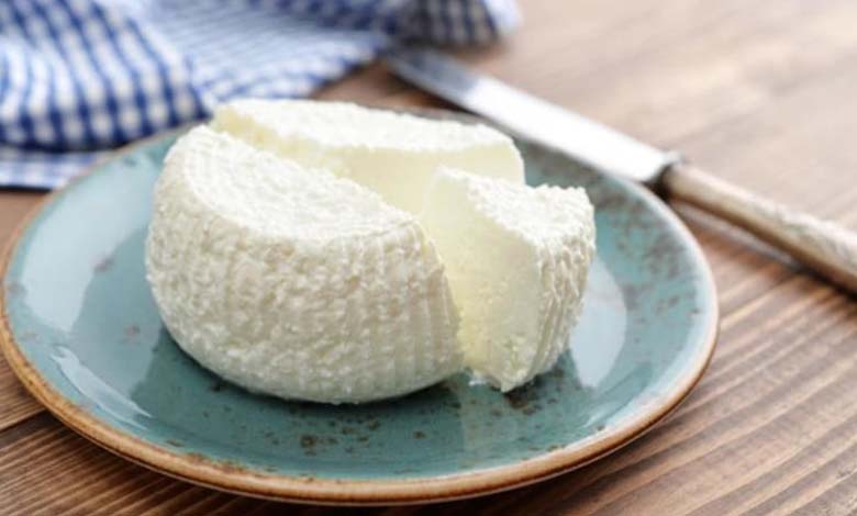 Le fromage à haute teneur en matières grasses : un allié pour le cerveau ?