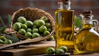 L’huile d’olive vierge extra, un bouclier naturel contre les maladies